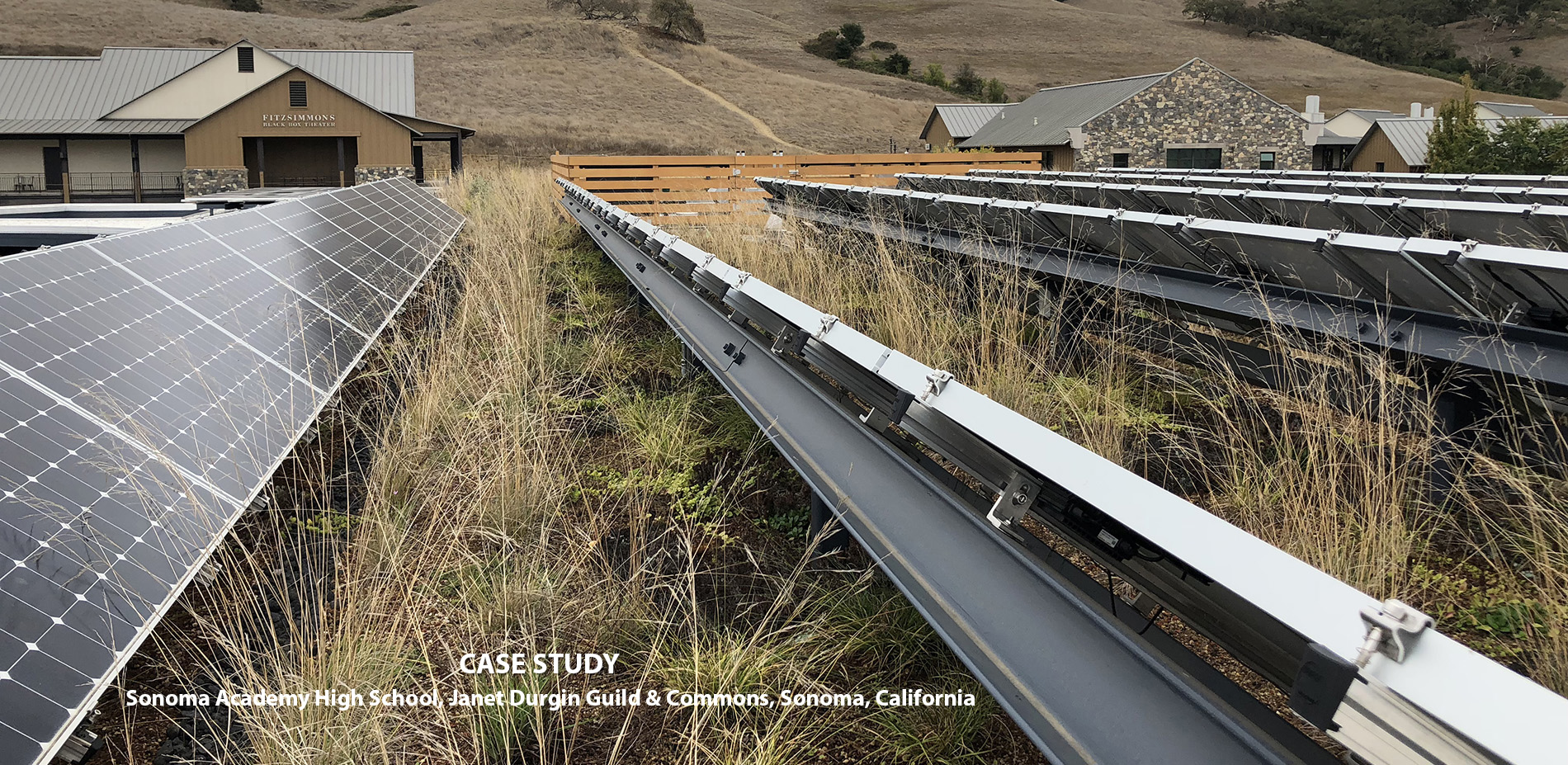 Living Roofs for Teaching the Next Generation